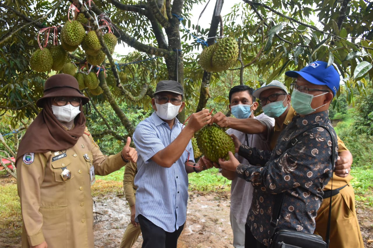 Launching Agro Wisata, ABM Ajak Masyarakat Jaga Lingkungan Alam