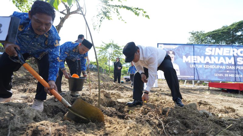 Moment Harkitnas Dimanfaatkan Pj Gubernur Sulbar dengan Menanam Sukun