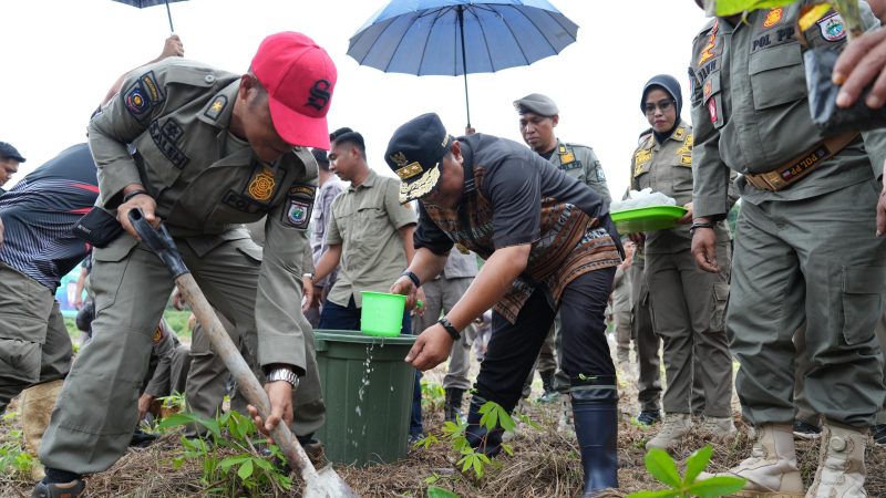Manfaatkan Lahan Kosong, Pj Bahtiar Tanam Pisang di Halaman Pemprov Sulbar