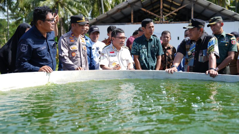 Pj Gubernur Bahtiar Akan Perkuat Perikanan Sulbar