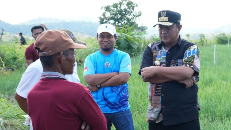 Pj Gubernur Sulbar ‘Kejar’ Petani Bawang, ‘Gunung pun Kudaki’