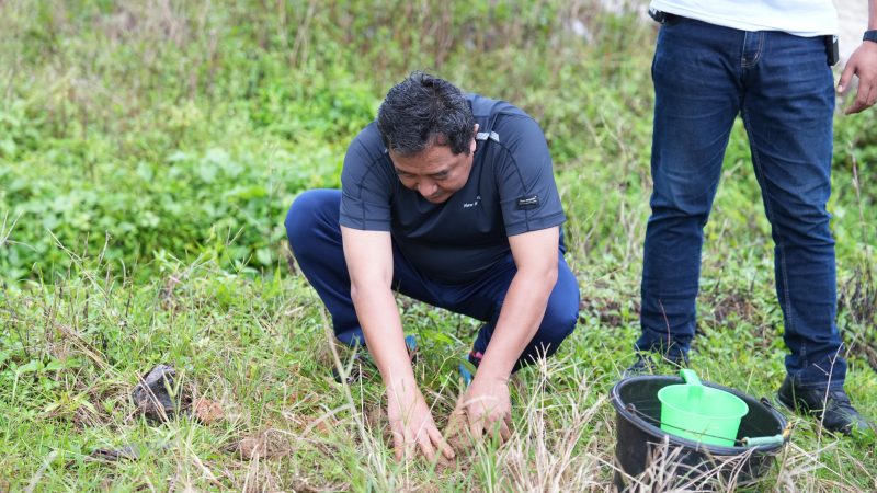 Pj Gubernur Sulbar Dorong Budaya Tanam Pohon untuk Cegah Longsor di Aralle