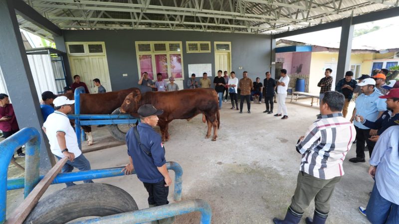 Pemprov dan DPRD Sulbar Sepaham Bentuk Dinas Peternakan Provinsi