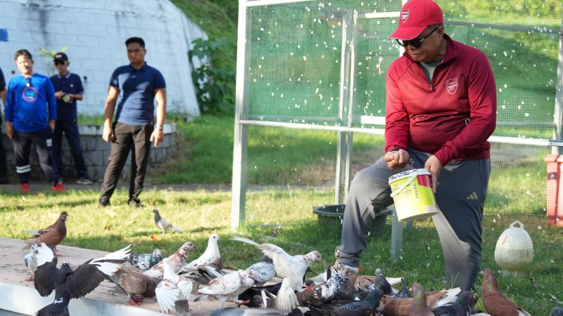 Sekda Idris: Merpati Kita Dorong Menjadi Ikon Baru Sulbar