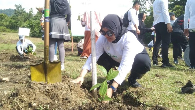 Komitmen DPRD Sulbar Bangun Ekosistem Ekonomi Hijau