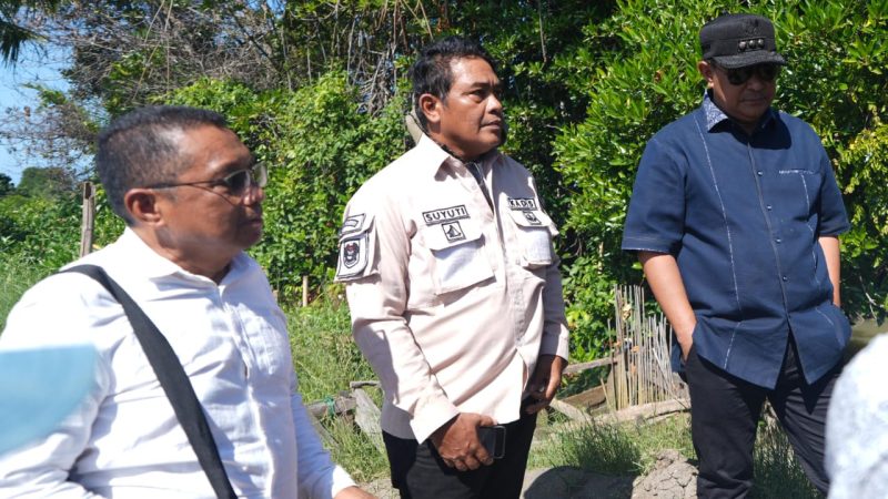 Ekosistem Mangrove Akan Dimanfaatkan Pemprov Sulbar Sebagai Habitat Kepiting Bakau