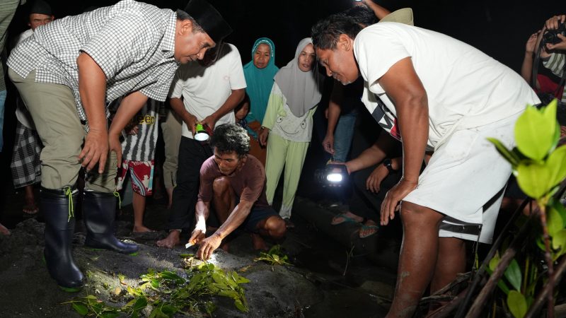 Pj Bahtiar Tebar Kepiting Bakau di Hutan Bakau Sumare