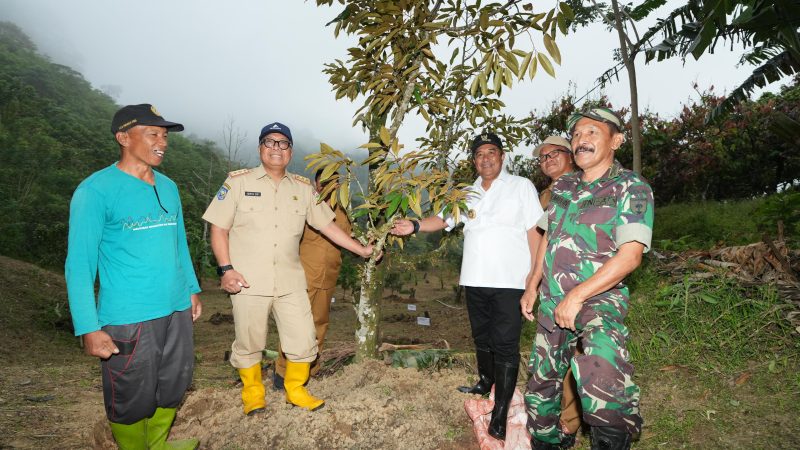 Pj Bahtiar Bocorkan Akan Anggarkan 1 Juta Bibit Durian untuk Dibagikan ke Warga