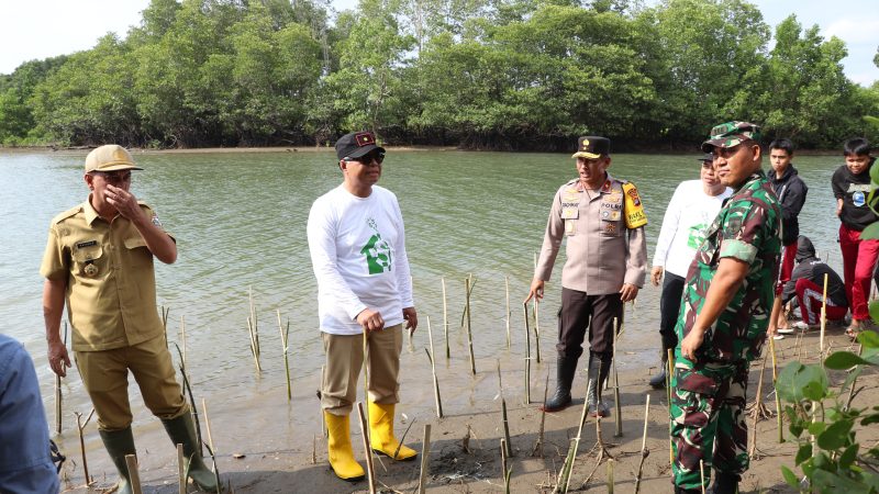 Semarak Hari Jadi ke 20 Sulbar, Sekprov: Kabupaten Harus Terlibat Sepekan Menanam Mangrove