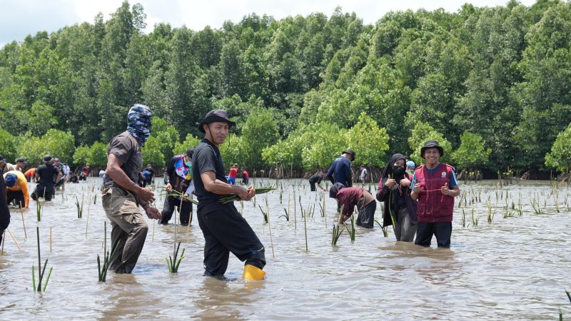 Pj Bahtiar Ucapkan Terima Kasih, Semua Pihak Terlibat Sepekan Menanam Mangrove