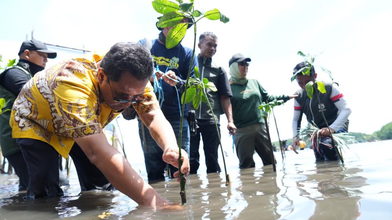 Pengelola Wisata Mangrove Ucap Terima Kasih Atas Kepedulian Pj Bahtiar Terhadap Lingkungan