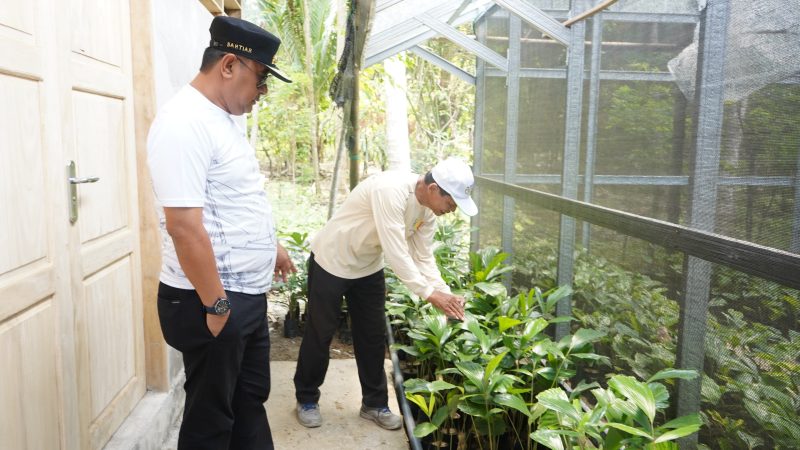 Peduli Masyarakat, Program Pj Bahtiar Diapresiasi Pengusaha Budidaya Aren