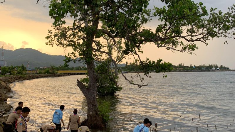 Ditlantas Polda Sulbar Ajak Peserta Jambore Peduli Lingkungan Lewat Penanaman Mangrove