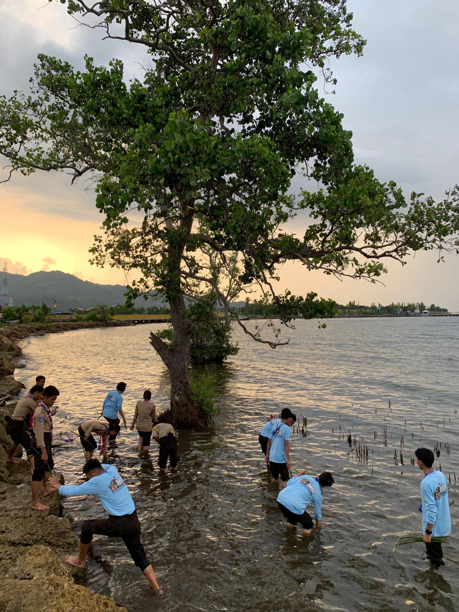 Ditlantas Polda Sulbar Ajak Peserta Jambore Peduli Lingkungan Lewat Penanaman Mangrove