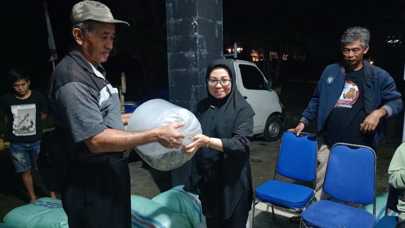 Pemprov Bersama Pemuda Sulbar Bagikan 200 Ribu Bibit Ikan Nila