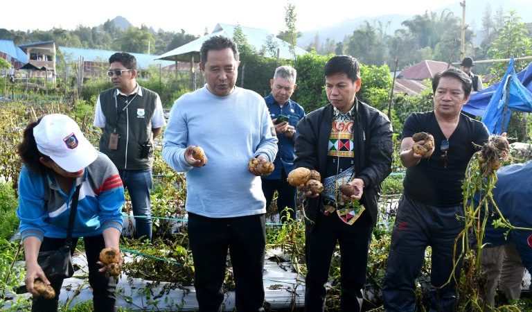 Pemprov Akan Bagi Bibit Hortikultura, Ini Imbauan Pj Bahtiar