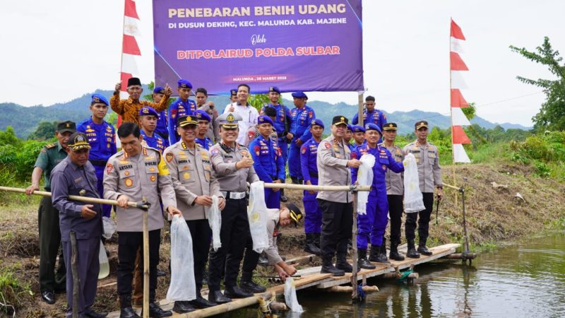 Kapolda Sulbar Tebar Benih Udang di Malunda: Aksi Nyata untuk Ketahanan Pangan