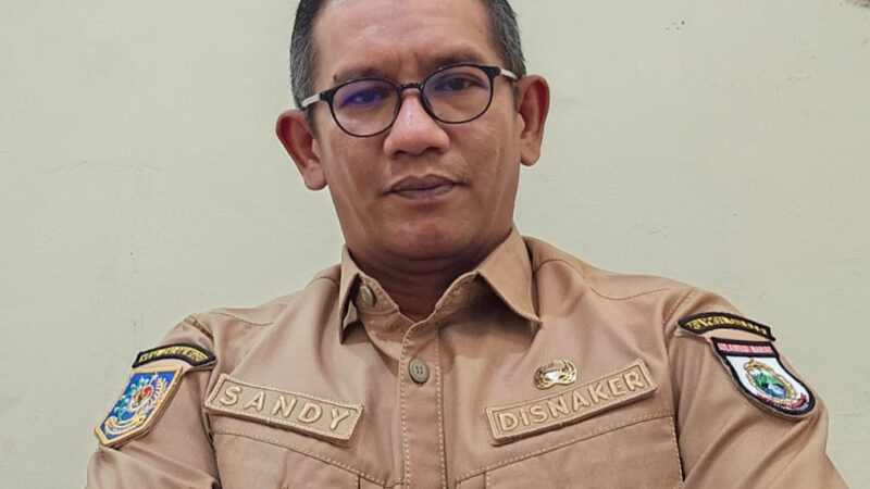 Disnaker Sulbar Capai 10 Titik Program Padat Karya, Target 70 Titik Tahun Ini