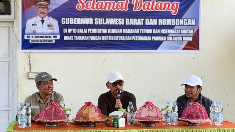 Gubernur Sulbar Pantau Langsung Potensi PAD dari Ternak Kambing