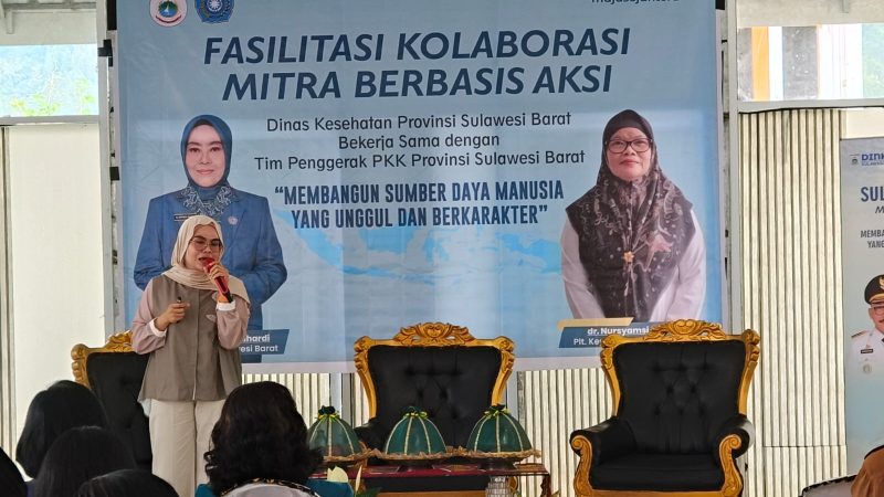 Perkuat Program PASTIPADU di Mamasa, TP PKK Sulbar Kolaborasi dengan Dinkes