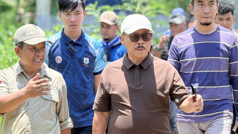 Dinas TPHP Sulbar Sukses Tingkatkan Kelahiran Sapi melalui Program IB di Era SDK–JSM