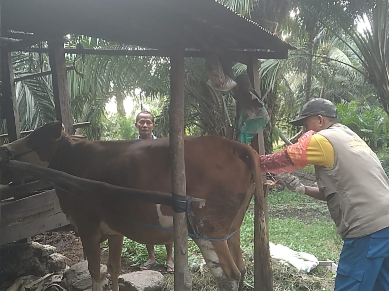 Selama Ramadan Pelayanan IB Tetap Berjalan di Sulbar