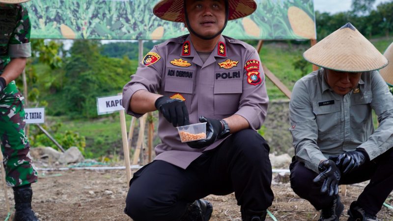 Dukung Program Pemerintah Menuju Swasembada Pangan di Wilayah, Polda Sulbar Gelar Aksi Tanam Jagung