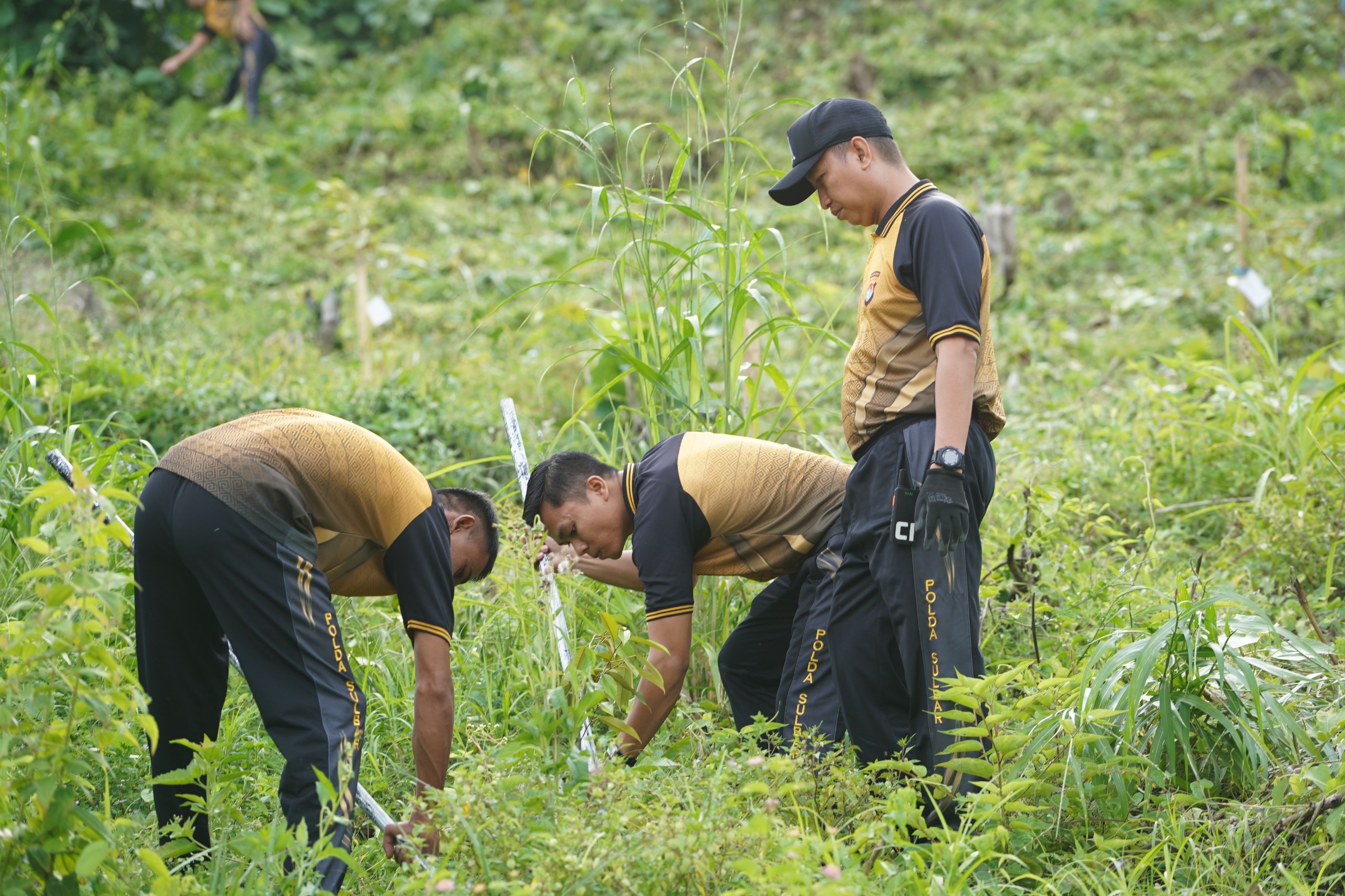 Peduli Lingkungan, Polda Sulbar Gelar Kerja Bakti dan Tanam Pohon