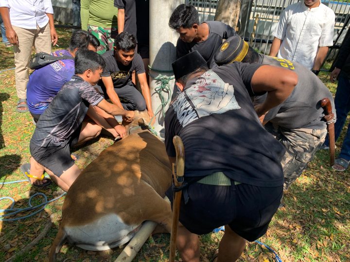 Semangat Berbagi Idul Adha, Lanal Mamuju Salurkan Daging Kurban untuk Masyarakat