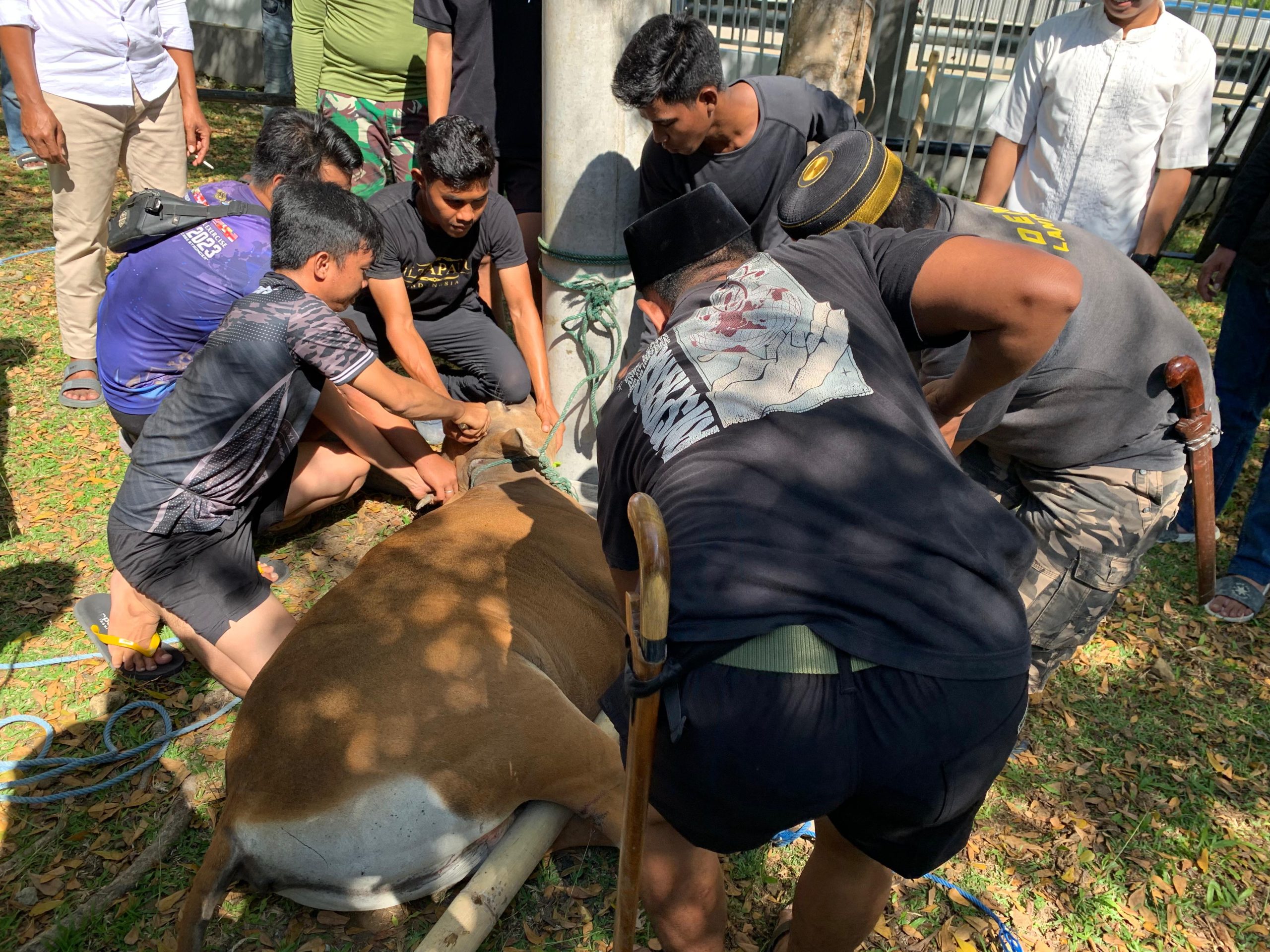 Semangat Berbagi Idul Adha, Lanal Mamuju Salurkan Daging Kurban untuk Masyarakat