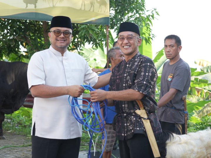 Polda Sulbar Sembelih 17 Sapi dan 33 Kambing di Hari Raya Idul Adha 1447 H