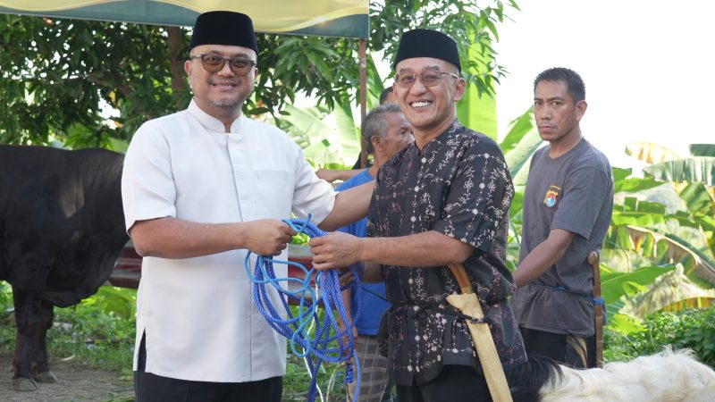 Polda Sulbar Sembelih 17 Sapi dan 33 Kambing di Hari Raya Idul Adha 1447 H