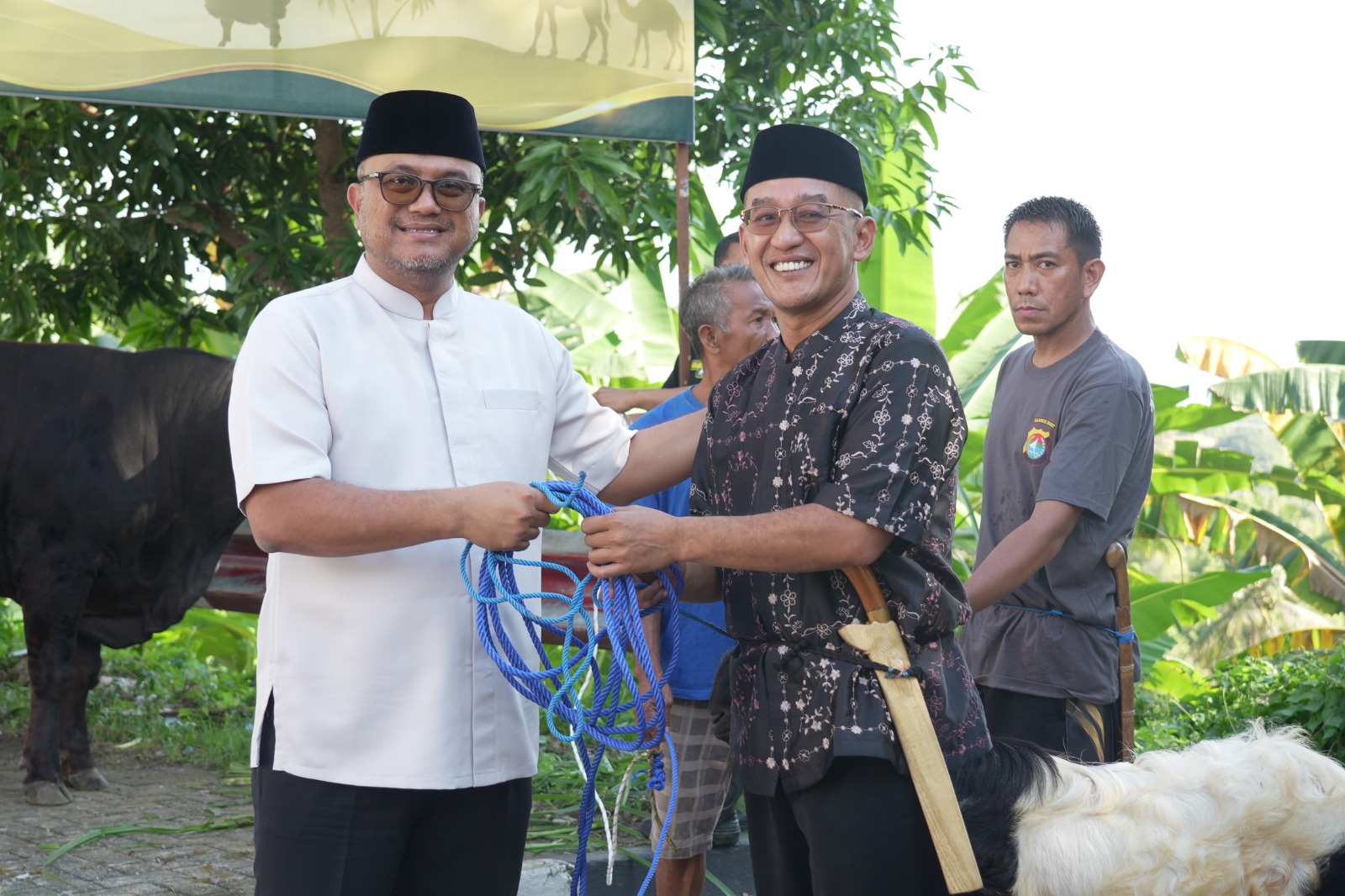 Polda Sulbar Sembelih 17 Sapi dan 33 Kambing di Hari Raya Idul Adha 1447 H