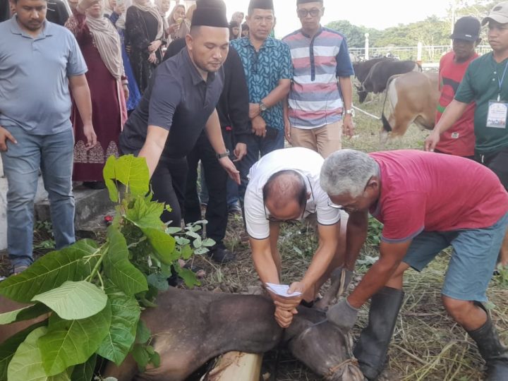 Sembelih Hewan Kurban Sendiri, SDK Tekankan Solidaritas Sosial