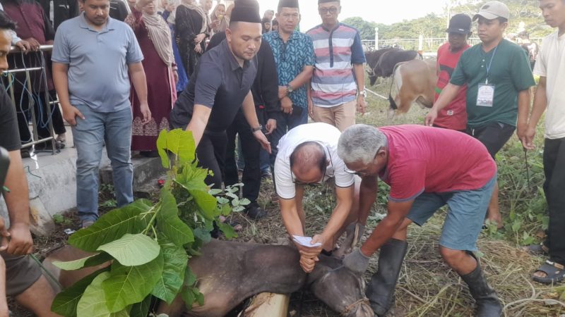 Sembelih Hewan Kurban Sendiri, SDK Tekankan Solidaritas Sosial