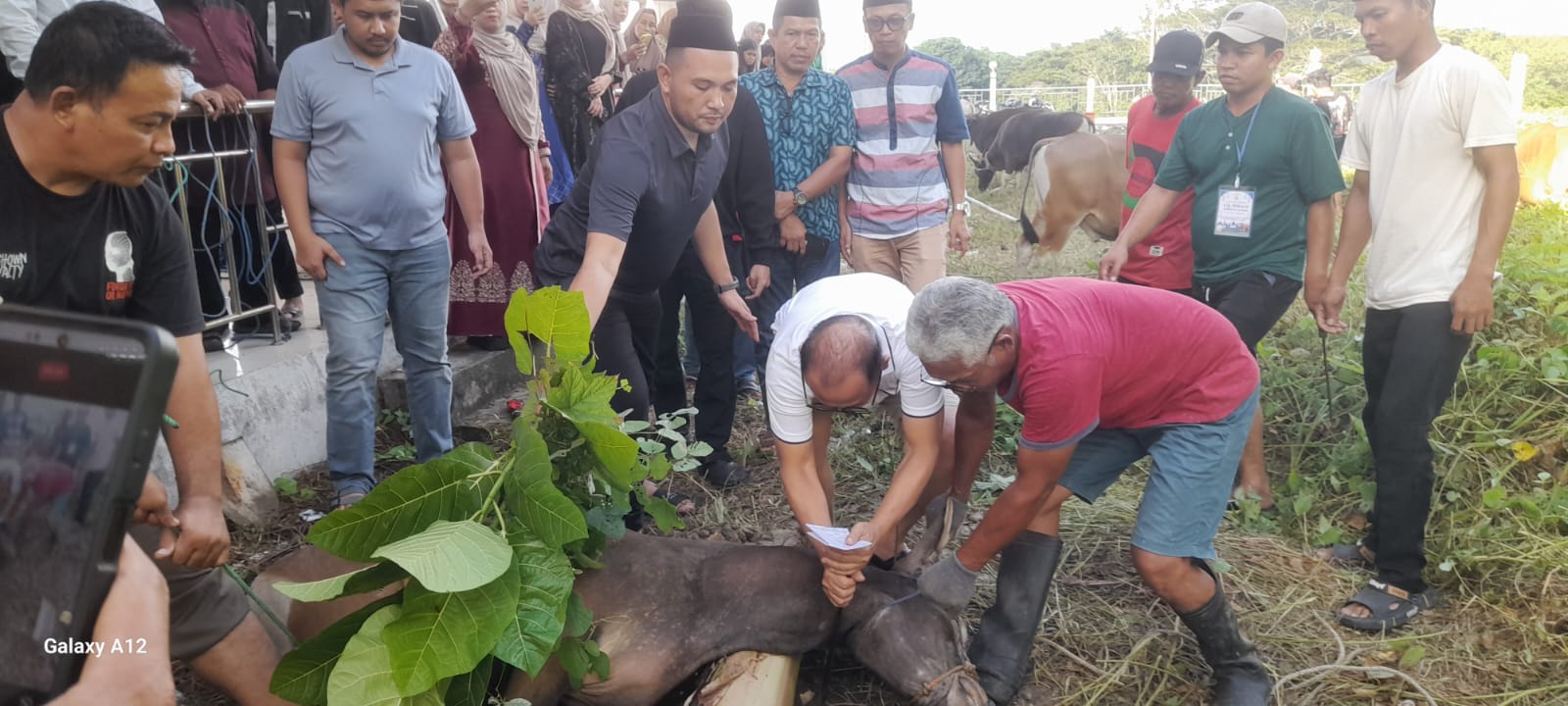 Sembelih Hewan Kurban Sendiri, SDK Tekankan Solidaritas Sosial