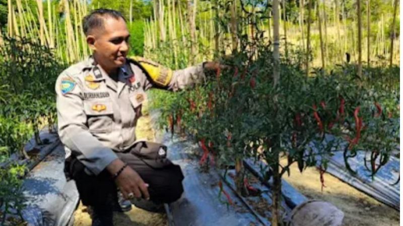 Polda Sulbar Optimalkan Peran Bhabinkamtibmas dalam Mendukung Ketahanan Pangan Nasional