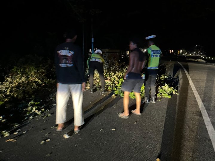 Polantas Polda Sulbar Bergerak Cepat Bersihkan Ranting Pohon, Jaga Keselamatan Pengendara