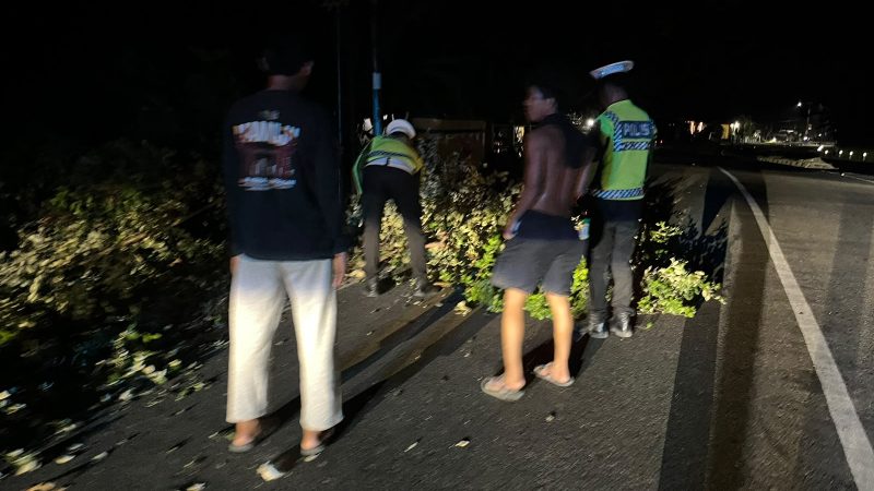 Polantas Polda Sulbar Bergerak Cepat Bersihkan Ranting Pohon, Jaga Keselamatan Pengendara