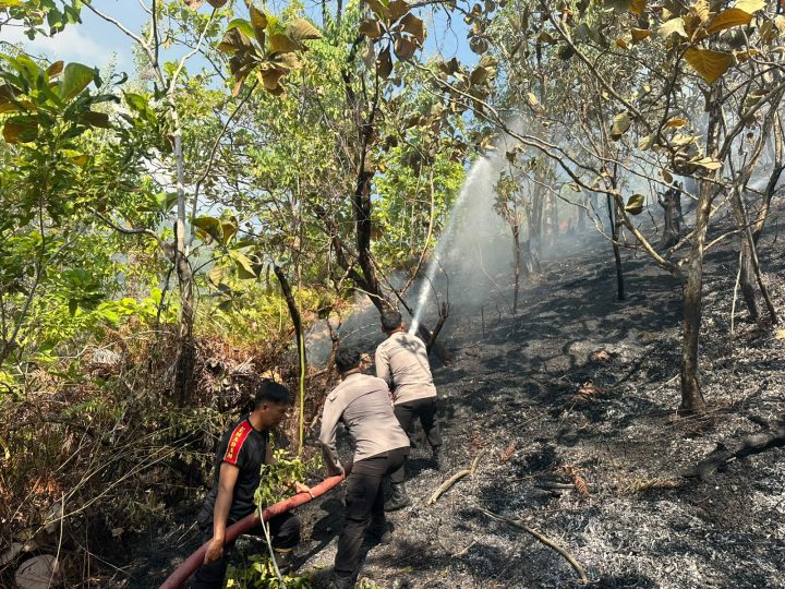 Permukiman Warga Terlindungi, Polresta Mamuju Bersama TNI-Pemda Sigap Padamkan Karhutla di Desa Sumare