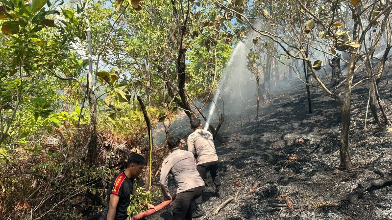 Permukiman Warga Terlindungi, Polresta Mamuju Bersama TNI-Pemda Sigap Padamkan Karhutla di Desa Sumare