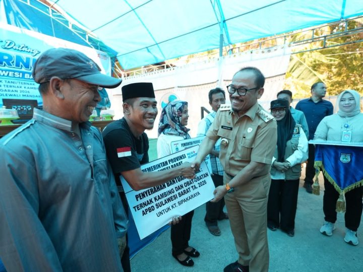 Gubernur Sulbar Salurkan Kambing dan Ayam untuk Kelompok Ternak Majene