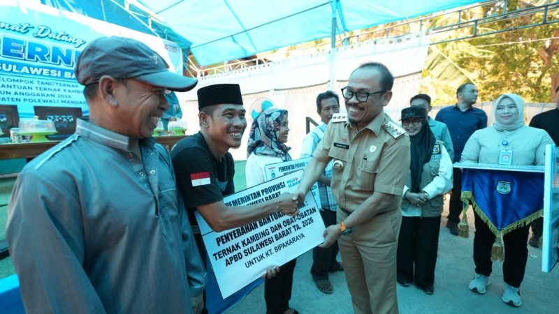 Gubernur Sulbar Salurkan Kambing dan Ayam untuk Kelompok Ternak Majene