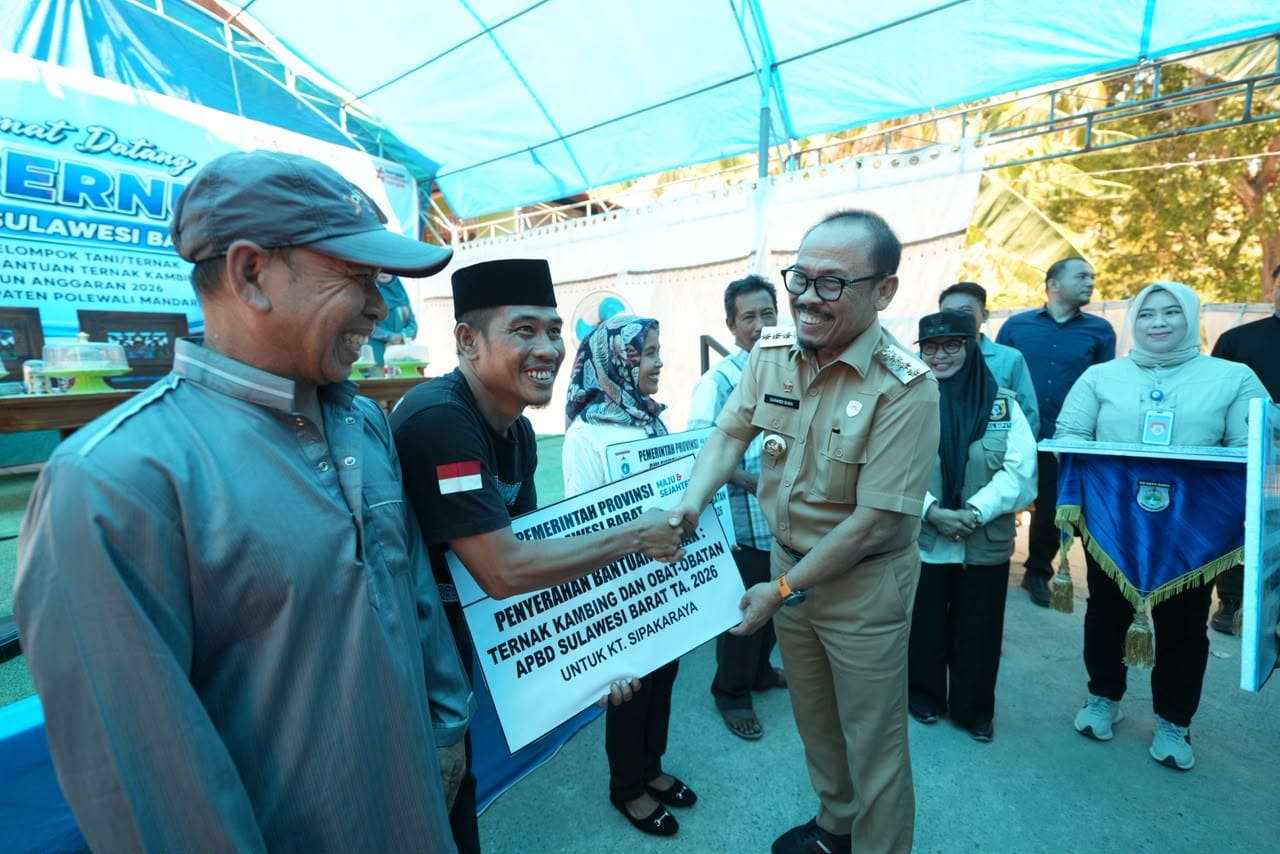 Gubernur Sulbar Salurkan Kambing dan Ayam untuk Kelompok Ternak Majene
