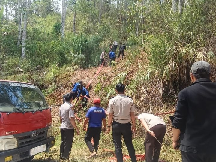 TNI-Polri dan Damkar Padamkan Karhutla di Tawalian Mamasa, 2 Hektare Lahan Terbakar
