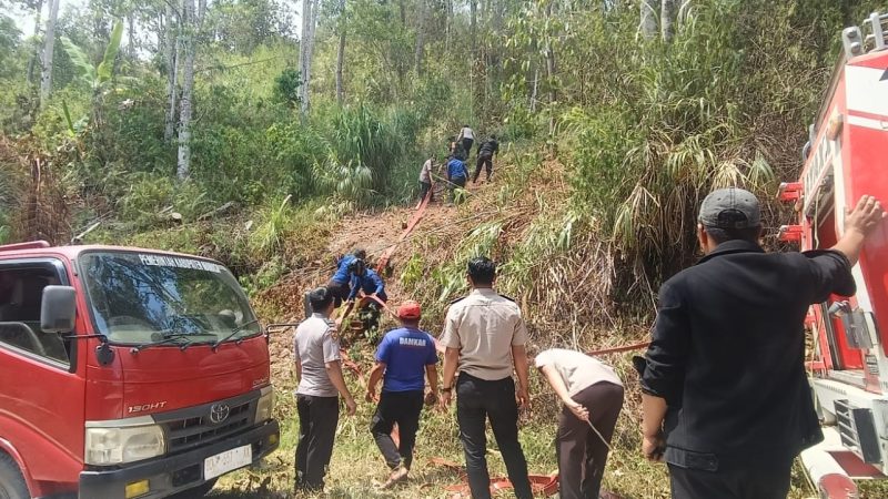 TNI-Polri dan Damkar Padamkan Karhutla di Tawalian Mamasa, 2 Hektare Lahan Terbakar