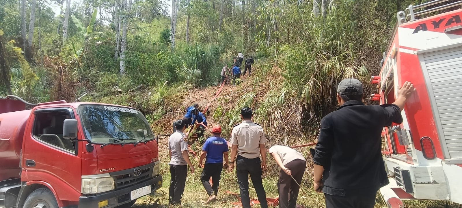 TNI-Polri dan Damkar Padamkan Karhutla di Tawalian Mamasa, 2 Hektare Lahan Terbakar