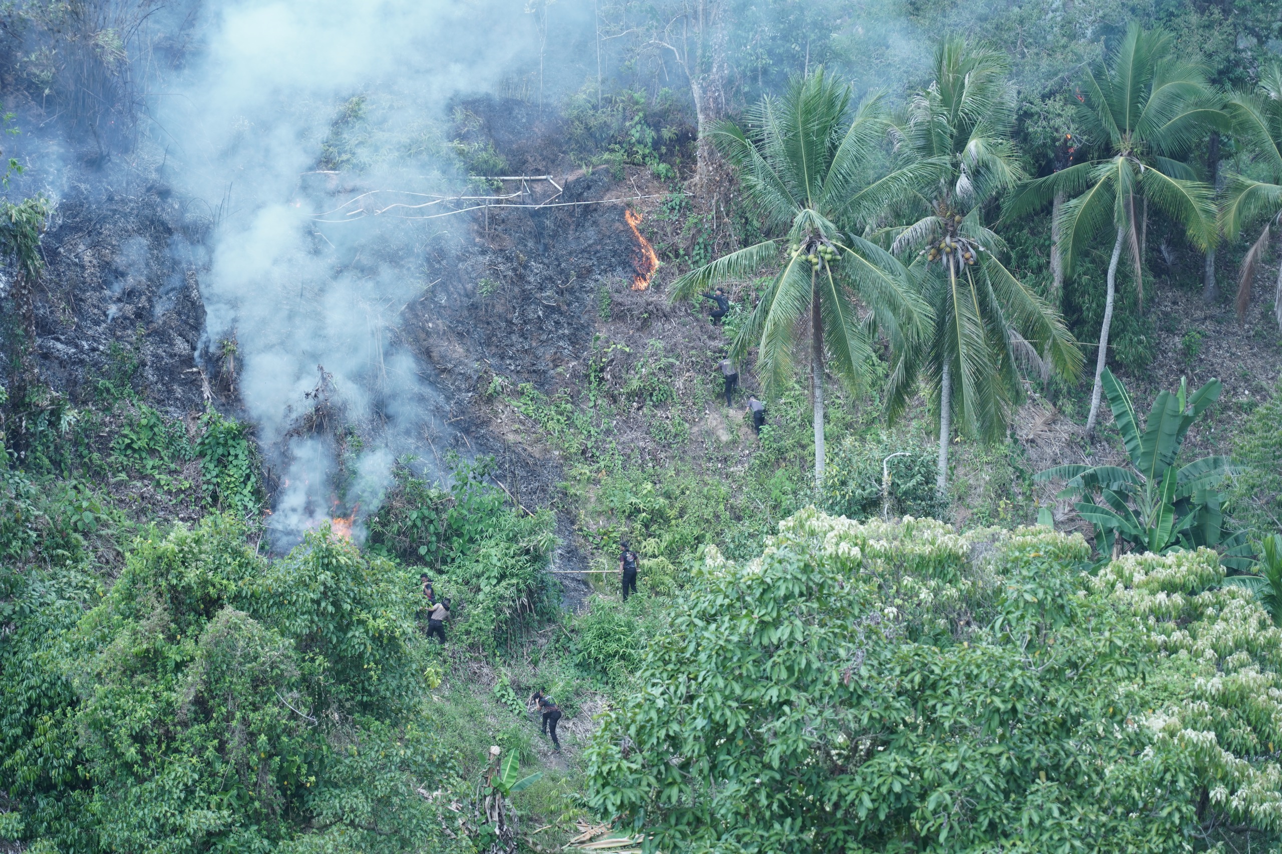 Kebun Warga di Bukit Kalubibing Terbakar, Polda Sulbar Gerak Cepat Padamkan Amukan Sijago Merah